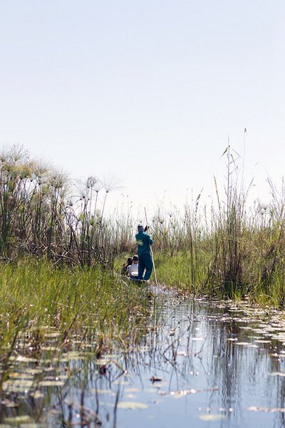 BWA NW OkavangoDelta 2016DEC02 Mokoro 006